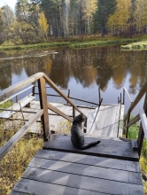 Прихожане Свято-Троицкого собора вернулись из паломничества по сердцу Сибири 8